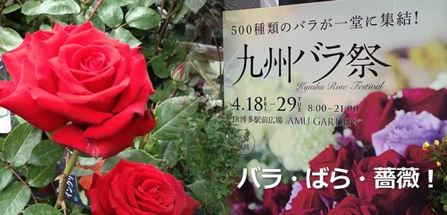 九州バラ祭り